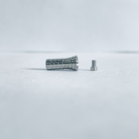 Abutment temporaire latéral pour système d'implantation MIS avec hexagone anti-rotation et base en titane avec vis