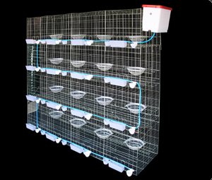 Grote gegalvaniseerde duivenkweekkooi, hete verkoop, automatische transportruimte voor vogelkweek voor duiven - Product Image 2