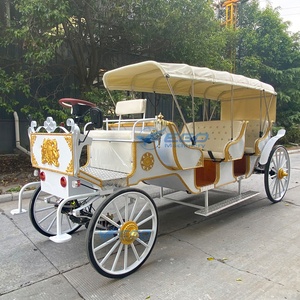 Carruaje Clásico de Princesa Real con Forma de Calabaza/Carruaje de Boda Cenicienta/Coche Eléctrico Turístico en Venta - Product Image 6