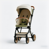 Poussette légère en alliage d'aluminium EN 1888 avec une capacité de charge de 15 kg, pliage facile, poussette portable pour enfants de 0 à 3 ans