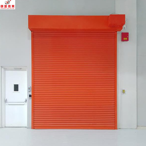 Porte de garage automatique motorisée en acier, à enroulement métallique, pour extérieur, avec couleurs personnalisées - Product Image 1