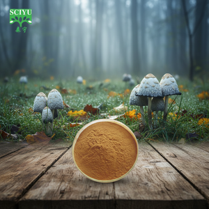 Extracto de Hongo <span class=keywords><strong>Coprinus</strong></span> <span class=keywords><strong>Comatus</strong></span> en Polvo 20:1 Soluble en Agua para Suplemento Alimenticio - Product Image 2