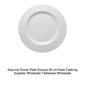 Plato Plano Saturnia Etruscan de 26 cm - Product Image 2
