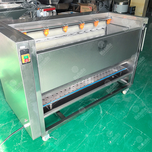 Máquina Peladora de Acero Inoxidable para Batata, Raíz de Loto, Ajo, Yuca, Jengibre, Zanahoria C01 - Product Image 4
