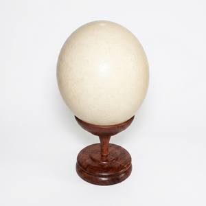 Elegantes y Estables Soportes de Madera y Metal para Huevos de Avestruz Pequeños, para Decoración del Hogar - Product Image 1
