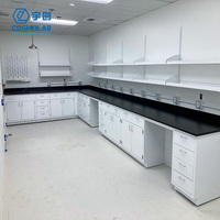 Mesa de Laboratorio de Acero Completo para Hospitales, Escuelas y Comercios, Montada en el Suelo o en la Pared, con Gabinetes Resistentes a Ácidos y Álcalis