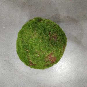 <span class=keywords><strong>Vendita</strong></span> calda interna/esterna giardino decorativo verde schiuma muschio palla erba artificiale pianta fatta di plastica resistente - Product Image 4