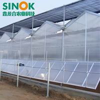 Serre multi-travées Sinok Venlo en polycarbonate, serre en plaques PC, kit de serre à structure en acier galvanisé pour légumes