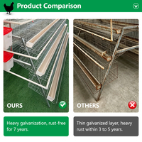 Nouvelles cages à poulets de ferme Linchuan de type A, conception à étages, en acier galvanisé à chaud, capacité de 96 à 160 poulets, garantie 5 ans