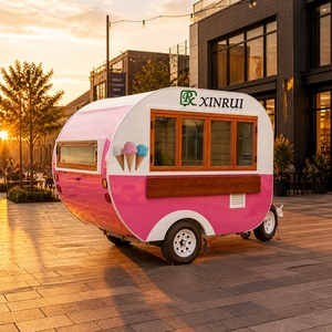 Camionnette de vente ambulante rose rétro, <span class=keywords><strong>petit</strong></span> modèle, conforme aux normes AU NZ, entièrement équipée, avec réfrigérateur et étagères, personnalisable, pour café, nourriture et glaces. - Product Image 2