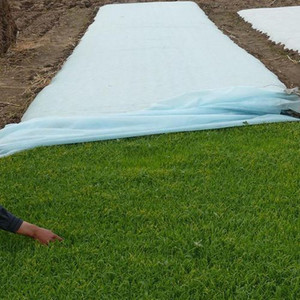 Tissu non tissé en polypropylène 100% neuf, en matériau PP, pour l'agriculture/le jardin/le textile domestique - Product Image 1