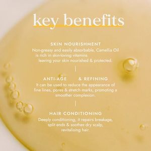 ETRUN ALISA Marque privée Huile de camélia biologique de qualité cosmétique Estompe les lignes <span class=keywords><strong>Vergetures</strong></span> Minimise les pores pour les cheveux, le visage, le corps et les ongles - Product Image 4