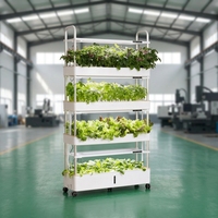 Système de jardinage vertical hydroponique intelligent d'intérieur avec 4 couches d'irrigation aéroponique, lampes de culture LED TSP 210 et pompe à eau automatique