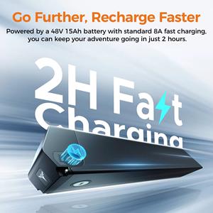 Prix de gros ENGWE Engine Pro 3.0 Boost Brushless 250W 20x4" Fat Tire E-Bike Stock UE Batterie 48V15Ah Charge rapide 8A Pliable - Product Image 4