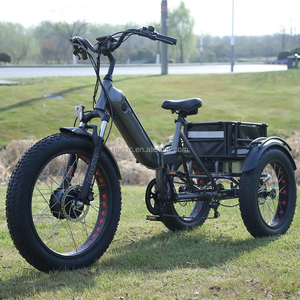 Nouveau modèle de <span class=keywords><strong>vélo</strong></span> <span class=keywords><strong>cargo</strong></span> <span class=keywords><strong>électrique</strong></span> puissant, fonctionnement d'<span class=keywords><strong>assistance</strong></span> à la pédale, gros <span class=keywords><strong>vélo</strong></span> <span class=keywords><strong>électrique</strong></span> chargé pour la livraison - Product Image 6