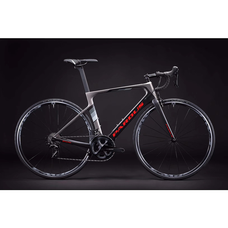 Fantas-bike PARDUS ROBINSPORTフルカーボンファイバーフレームV