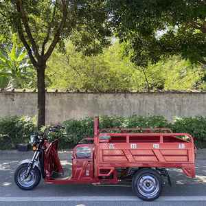 รถสามล้อรับจ้างแบบประหยัดพลังงาน 800 วัตต์ สำหรับใช้เป็นรถส่งของ - Product Image 2