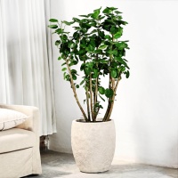 Pot de fleurs circulaire haut de gamme en ciment et argile de magnésium, fait main, style vintage nordique, grand format, pour Monstera