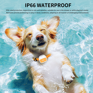 Collier de suivi GPS intelligent pour animaux de compagnie avec suivi de localisation en temps réel pour chiens et chats, étanche IP66 - Product Image 6