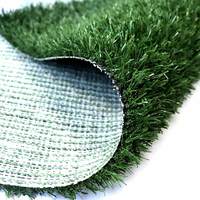 Litière pour chat, gazon pour jardin, tapis de champ, gazon artificiel pour animaux de compagnie