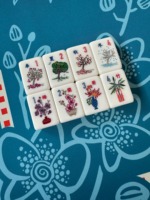 2026 Desain Naga Bunga Vintage Baru yang Lucu 160pcs Set Mahjong Akrilik Amerika Hadiah Unik untuk Pecinta Permainan Budaya
