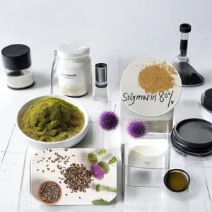 Free Sample Silymarin Milk Thistle Extract Powder 40% 80% 1kg MOQ Seed from Food Grade Halal Certified Solvent Extraction