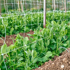 Filet de treillis de jardin en PP extrudé pour plantes potagères, idéal pour les concombres - Meilleur prix - Product Image 2