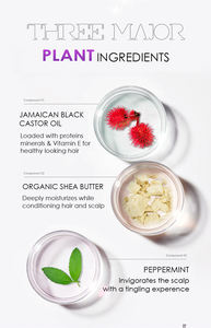 Private Label African Personal Natural Curly <strong>Hair</strong> Care Products Line Castor Oil <strong>Hair</strong> Conditioning <strong>Treatment</strong> - Product Image 2