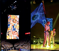 Écran LED transparent flexible personnalisé, publicité numérique, film LED flexible, écran d'affichage transparent, écran LED volant