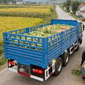รถบรรทุกติดตั้งรั้ว Howo 6x4 ดีเซล มาตรฐานยูโร <span class=keywords><strong>2</strong></span> พร้อมแอร์อัตโนมัติ สำหรับการขนส่งทางการเกษตรและการก่อสร้าง ใช้ในตลาดแอฟริกา - Product Image 1