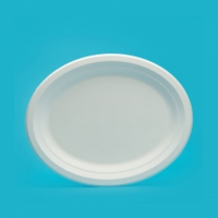 Assiettes à pizza bagasse incassables au design personnalisé, plateau ou assiette à compartiment jetable pour servir le barbecue