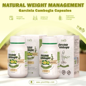 Kapsul Garcinia Cambogia Alami OEM&ODM 60% Asam Hidroksisitrat Pengatur Berat Badan Detoks untuk Membentuk Tubuh Stok Tersedia - Product Image 2