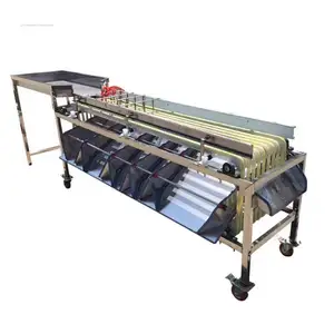 Factory outlet fruit&vegetable processing machine