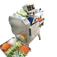 Machine à trancher les fruits et légumes multifonctionnelle en acier inoxydable pour la cuisine