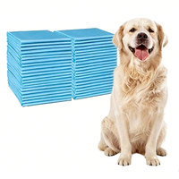 Tapis pour animaux de compagnie jetables ultra-absorbants, imperméables IP67, écologiques, pour l'apprentissage de la propreté des chiens, tapis d'incontinence pour animaux, tapis de toilette pour animaux