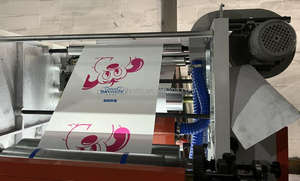 Impresión flexográfica película de HDPE PE LDPE BOPP rollo de polietileno máquina de impresión flexográfica - Product Image 4