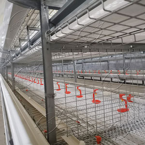 Serie Leon completamente automatica altre attrezzature per l'allevamento di animali per polli da carne attrezzature per animali - Product Image 3