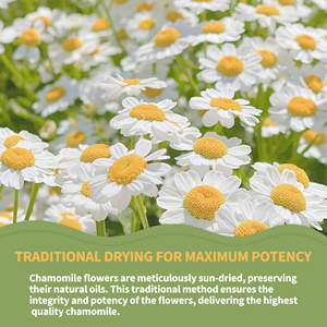 オーガニックカモミールフラワーティーサプリメント非GMO新鮮乾燥ハーブノニ大人用OEM高品質 - Product Image 3