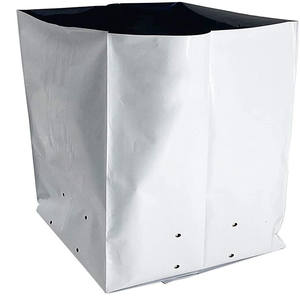 2025 Offre Spéciale <span class=keywords><strong>sac</strong></span> <span class=keywords><strong>sac</strong></span> graines de tournesol pour plante - Product Image 2