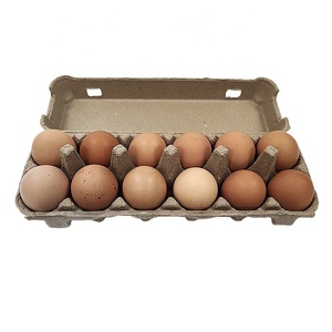 Eco Friendly Egg Packaging Boxes Carton Paper Mache Biodegradable Recycled Molded Pulp Box Paper Egg Tart Tray