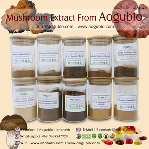AOGUBIO Supplément <span class=keywords><strong>AHCC</strong></span> Poudre de Champignon en Vrac <span class=keywords><strong>Shiitake</strong></span> Halal HACCP Certifié Biologique Extrait de Lentinus Edodes - Product Image 3