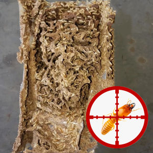 페스트맨 헥사플루무론 흰개미 베이트 (흰개미 탐지 및 장기 보호용) - Product Image 6