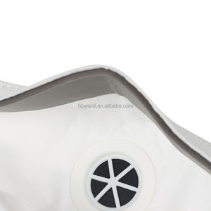 Respirator Partikulat FFP3 Berkatup dengan Logo Kustom, Masker Wajah Bentuk Ikan, Respirator Anti Debu - Product Image 3