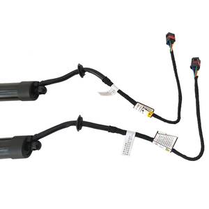 Porsche <b>Tailgate</b> Lifting <b>Struts</b> 95851285104 95851285106 95851285109 Door Support Replacement Parts - Product Image 4