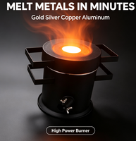 Four à fusionner le métal professionnel pour l'affinage de l'or de 4 kg à 50 kg - Gaz propane / gaz naturel