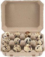 Carton à œufs de caille 3x4 douzaines en pâte naturelle vierge, support de rangement pour œufs de caille pour réfrigérateur