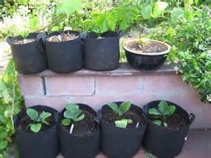 ถุงปลูกต้นไม้ไม่ทอระบายอากาศสีดำ20แกลลอนงานหนักและนำกลับมาใช้ใหม่ได้สำหรับทำสวน - Product Image 6