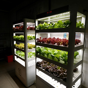 Machine <span class=keywords><strong>de</strong></span> germination intelligente Elite 220W, 400 sites <span class=keywords><strong>de</strong></span> culture, irrigation par flux et reflux, 20 lumières LED, structure en acier au carbone, pour pépinière moderne - Product Image 2