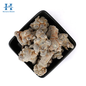 Bột Notoginsenosid chất lượng cao, Saponin lá Panax <span class=keywords><strong>Notoginseng</strong></span> 10% 20% 80%, Saponin rễ Panax <span class=keywords><strong>Notoginseng</strong></span> - Product Image 2