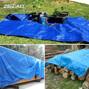 Bâche en polyéthylène légère et imperméable, bâche PE de couleur bleue avec œillets - Product Image 6